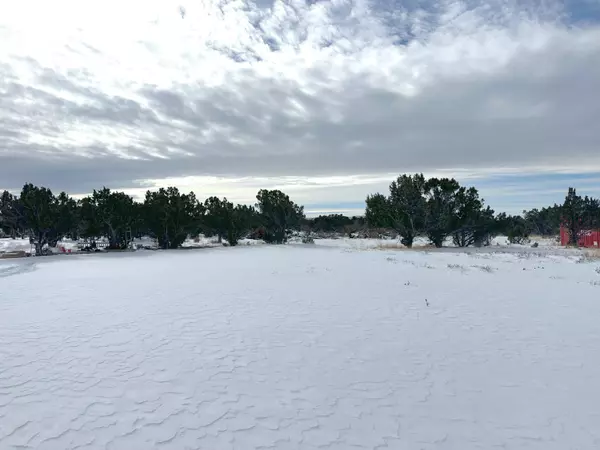 PARCEL # 01-0252-0003 #3, Beaver, UT 84713