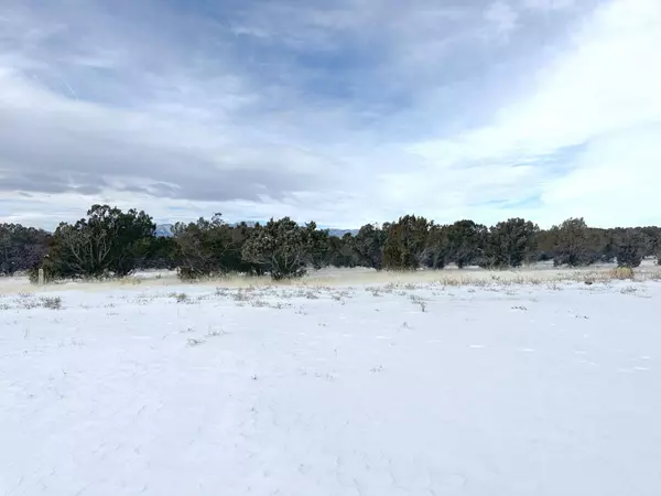 PARCEL # 01-0252-0003 #3, Beaver, UT 84713