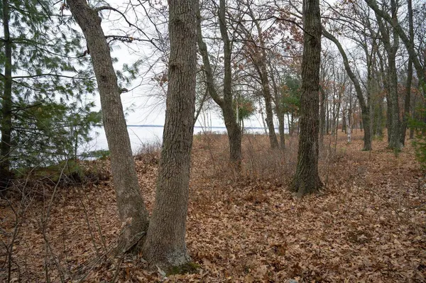 W4656 South Shore Road, Mauston, WI 53948