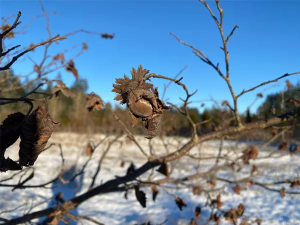 1430 Peterson Rd, Gabriola Island, BC V0R 1X7