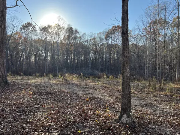 4 Amazing Place, Summertown, TN 38483