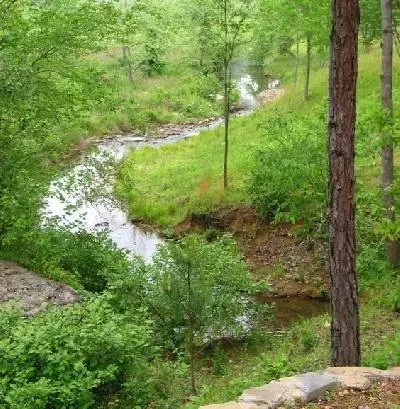 4 Amazing Place, Summertown, TN 38483