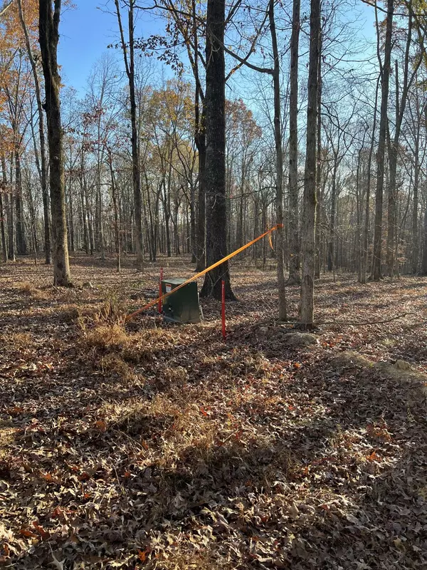 4 Amazing Place, Summertown, TN 38483