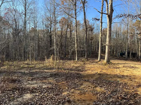 4 Amazing Place, Summertown, TN 38483