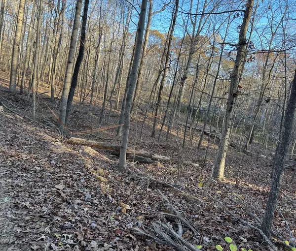 4 Amazing Place, Summertown, TN 38483