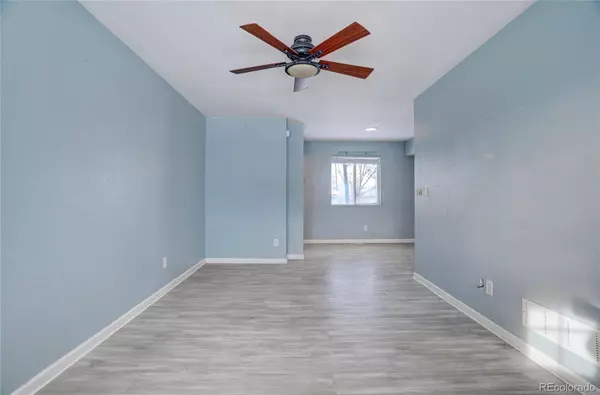 3709 Salida CT, Evans, CO 80620