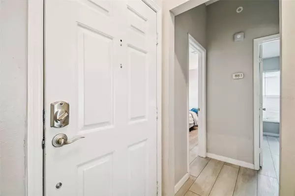 13525 BELLINGHAM DR, Tampa, FL 33625