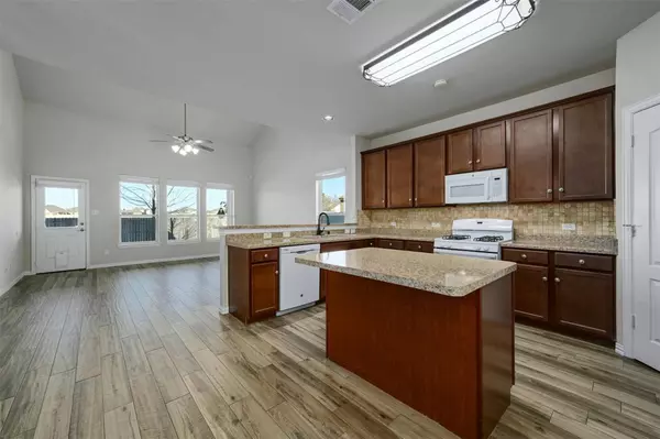 1513 Reagan Wells DR, Hutto, TX 78634