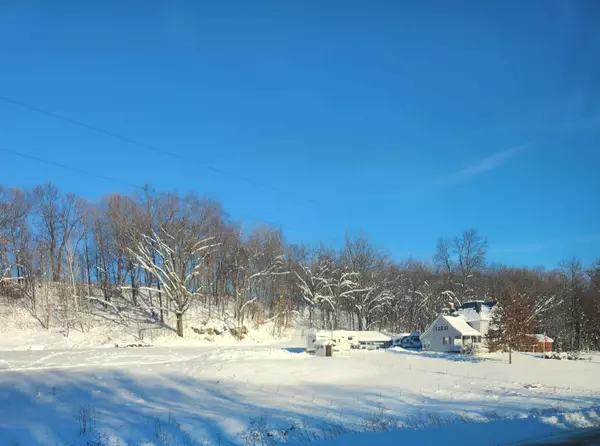 S1205 County Road Y Road, Wonewoc, WI 53968-9632