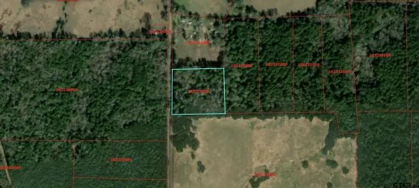 0 FM 856, Troup, TX 75789