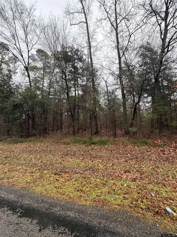 0 FM 856, Troup, TX 75789