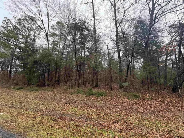 0 FM 856, Troup, TX 75789