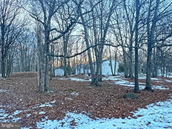 119 DEPUE CIR, Lehman, PA 18324