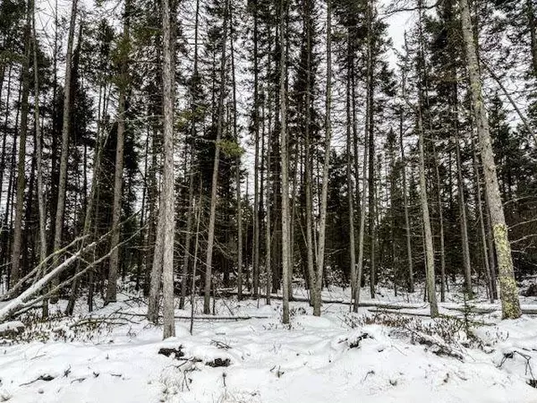 TBD E Four Corners RD, Cromwell, MN 55726