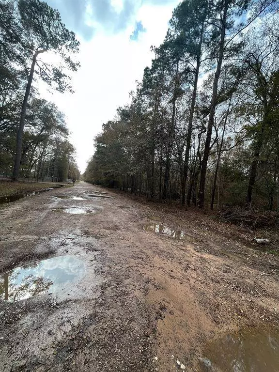 TBD Lot 13 Ash PL, New Caney, TX 77357