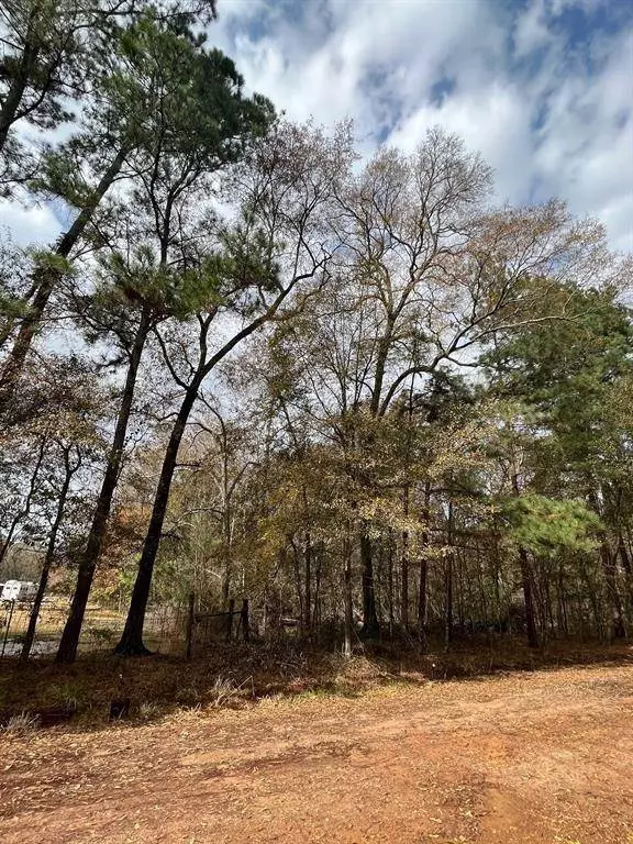 TBD Lot 13 Ash PL, New Caney, TX 77357