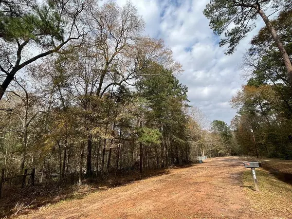 TBD Lot 13 Ash PL, New Caney, TX 77357