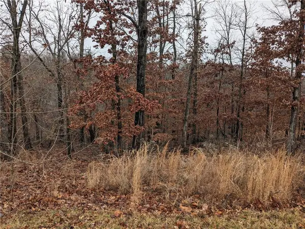 Lot 3 Trafalgar Road, Bella Vista, AR 72714