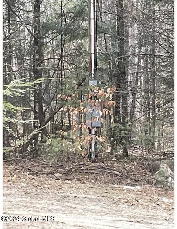 L6 Mountain Meadows Road, Horicon, NY 12808