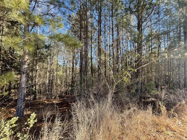 117 Rivers Edge DR, Forsyth, GA 31029