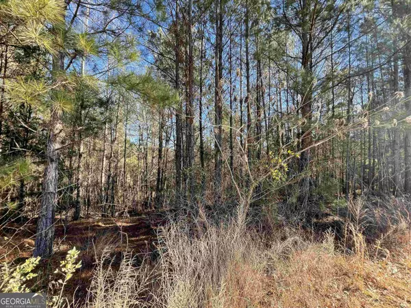 117 Rivers Edge DR, Forsyth, GA 31029