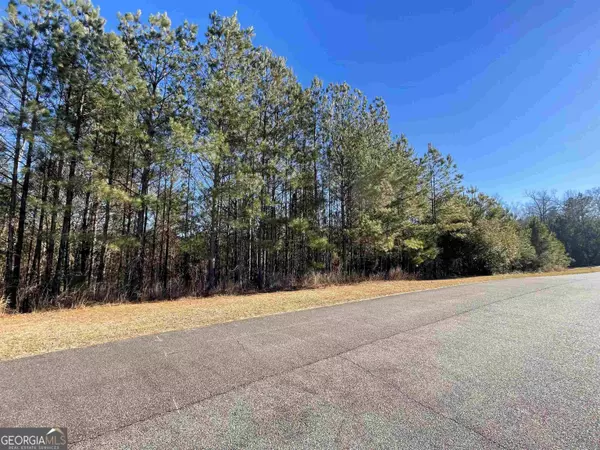 117 Rivers Edge DR, Forsyth, GA 31029