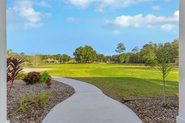 12406 WILD TURKEY LN, Thonotosassa, FL 33592