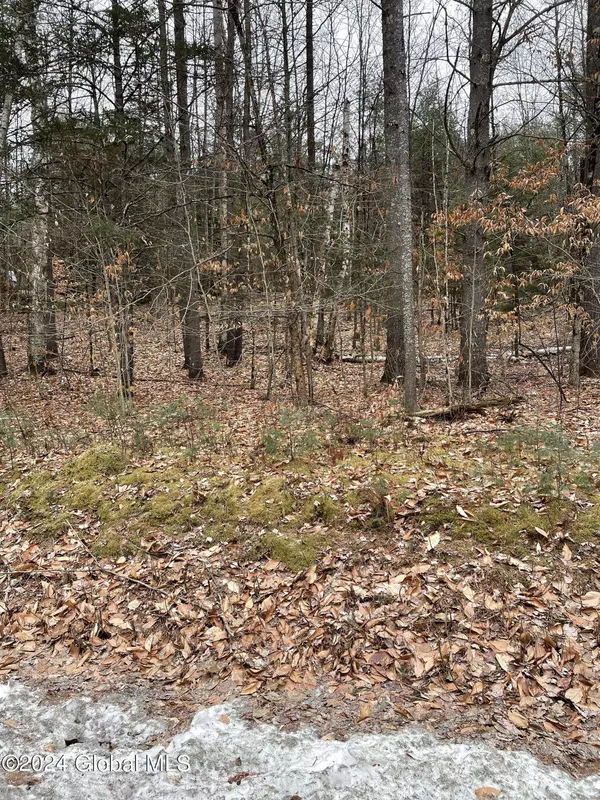 L6 Mountain Meadows Road, Horicon, NY 12808