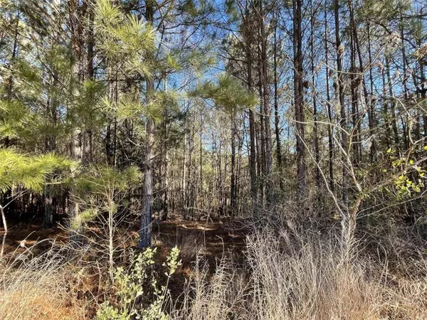 117 Rivers Edge DR, Forsyth, GA 31029