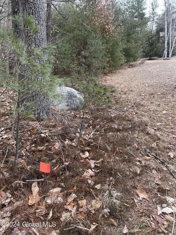 L6 Mountain Meadows Road, Horicon, NY 12808