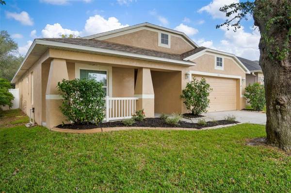 3519 GRAY WHETSTONE ST, Brandon, FL 33511