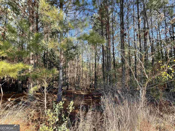 117 Rivers Edge DR, Forsyth, GA 31029