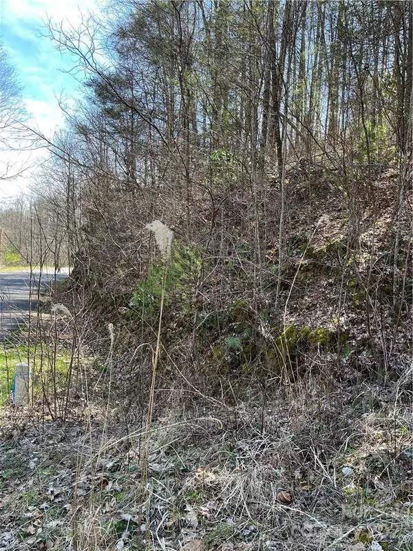 00 Running Deer NW Running Deer LN #65, Mars Hill, NC 28754