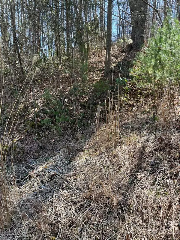 00 Running Deer NW Running Deer LN #65, Mars Hill, NC 28754