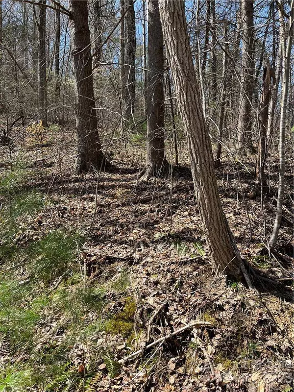 00 Running Deer NW Running Deer LN #65, Mars Hill, NC 28754