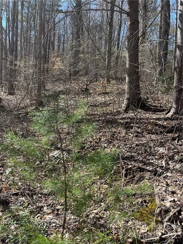 00 Running Deer NW Running Deer LN #65, Mars Hill, NC 28754