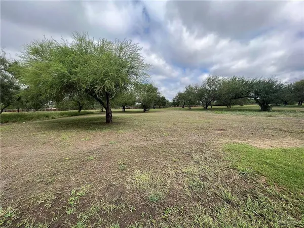 3507 Micaela ST, Donna, TX 78537