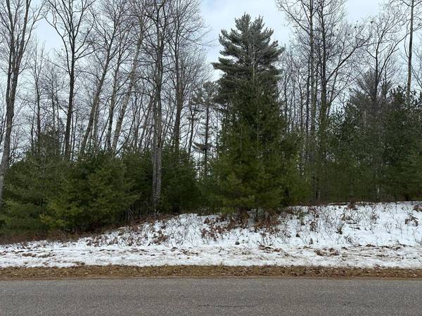 17 & 18 WHITETAIL CROSSING RD, Eagle River, WI 54521