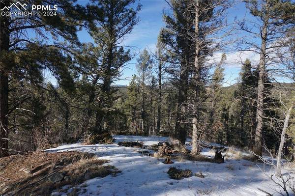 313 Crystal Peak RD, Lake George, CO 80827