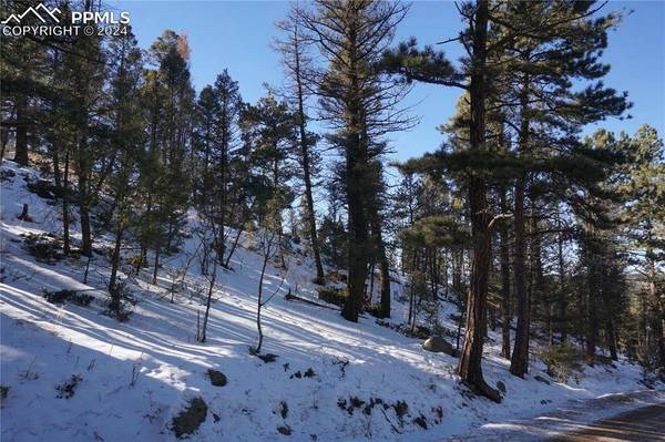 313 Crystal Peak RD, Lake George, CO 80827