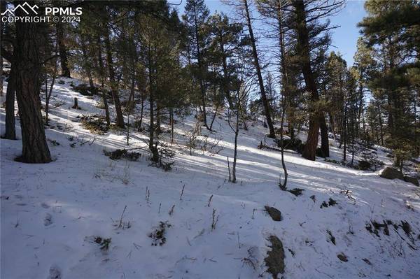 313 Crystal Peak RD, Lake George, CO 80827