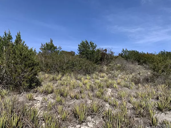 977 Private Road 2440, Uvalde, TX 78801