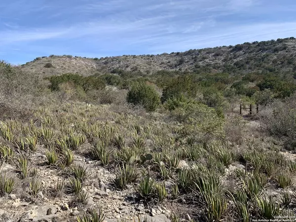 977 Private Road 2440, Uvalde, TX 78801