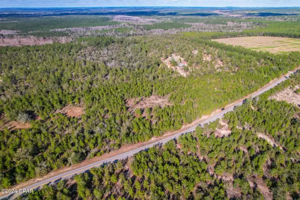 XX Holmes Valley RD, Vernon, FL 32462