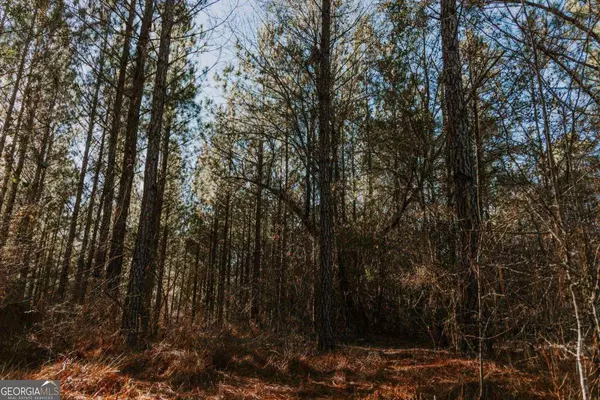 00 Hall RD, Dublin, GA 31021