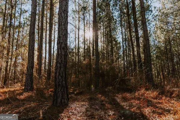 00 Hall RD, Dublin, GA 31021