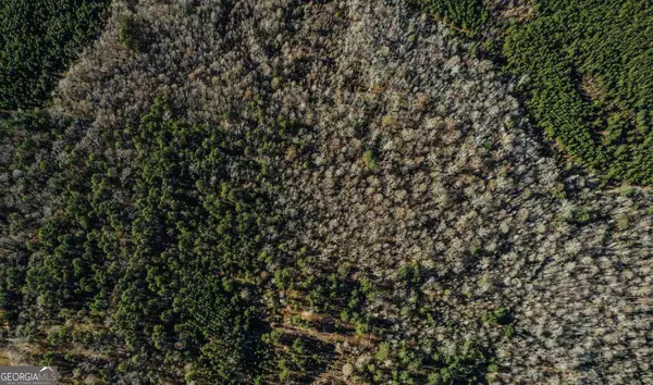 00 Hall RD, Dublin, GA 31021