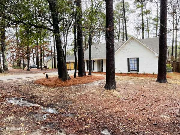 156 Dogwood Circle, Brandon, MS 39047