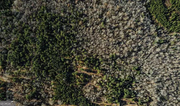 00 Hall RD, Dublin, GA 31021