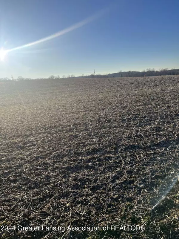 0 Maple Lane Road, Rives Junction, MI 49277, Rives Junction, MI 49277